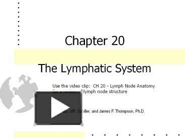 Ppt Chapter The Lymphatic System Powerpoint Presentation Free To