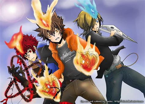 Katekyo Hitman Reborn Our Dying Wills Tsuna Manga Dying Reborn