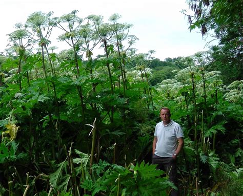 Dpscd Clever Review: Separating Fact from Fiction in the World of Technology 6