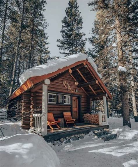 Cabin Fevered Caffeinated Cabins In The Woods Small Log Cabin