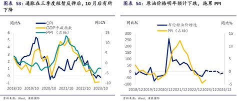 2024年投资展望丨宏观（下篇）：价格水平展望及不确定性事件 21经济网