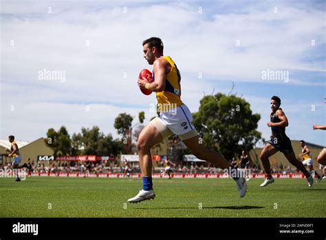 Adelaide Australia 02nd Mar 2024 Elliot Yeo Of The Eagles During