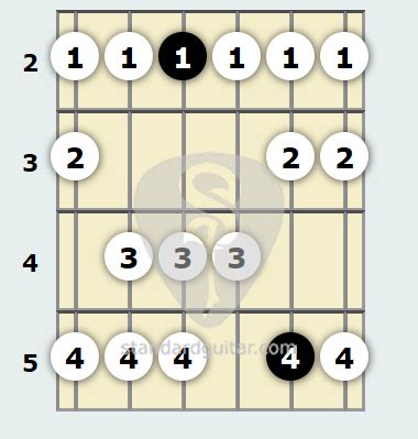 E Dorian Scale | Standard Guitar