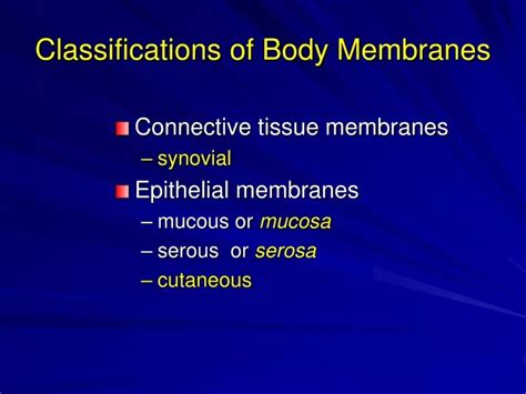 PPT - Classifications of Body Membranes PowerPoint Presentation, free ...