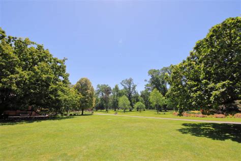 The Best Picnic Spots in Melbourne - Eric Brockmeyer