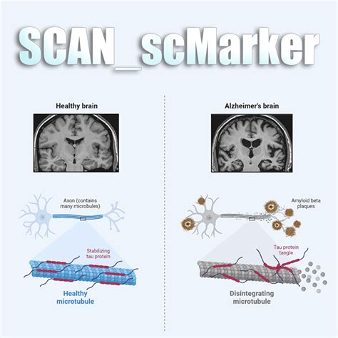 SCAN: Spatiotemporal Cloud Atlas for Neural cells