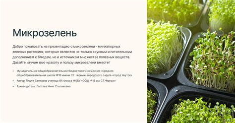 Микрозелень
