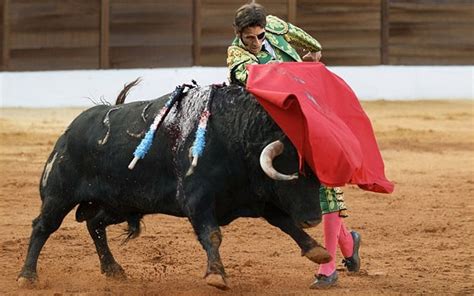 Bullfighter Returns To The Bullring After Being Gored In The Face