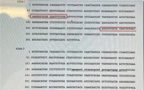 Solved The sequence below are from two alleles of a gene | Chegg.com 