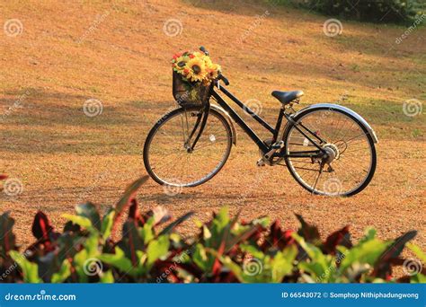 Kort Och Modell Med Cykeln Arkivfoto Bild Av Korgar