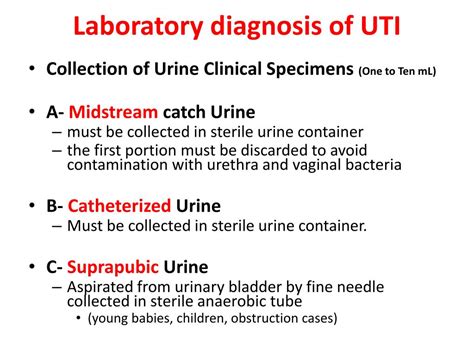 Ppt Urinary Tract Infection Uti Powerpoint Presentation Free