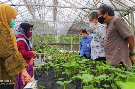 Pelatihan Petani Milenial Koran Jakarta