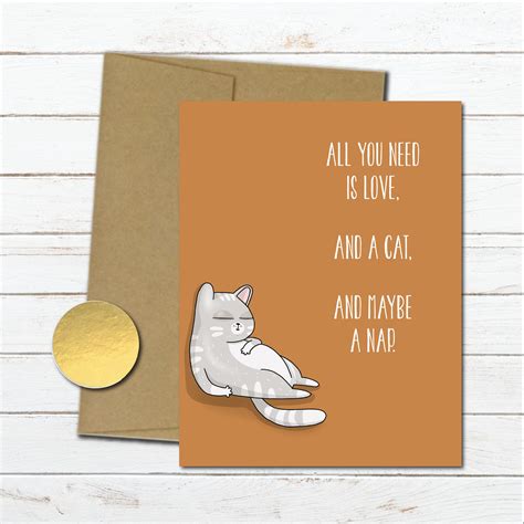 Funny Cat Anniversary Cards Stuff 443