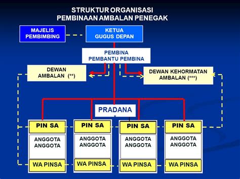 Contoh Struktur Organisasi Pramuka Penggalang Smp Sidang Belajar