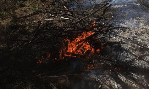 Usan Drones Con Visión Térmica Para Detectar Incendios Forestales En El