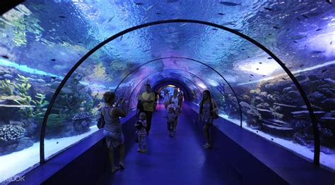 Antalya Aquarium Ticket Klook New Zealand