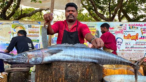 KASIMEDU SPEED SELVAM 15 KG BIG SIZE ARA KOLA FISH CUTTING VIDEO