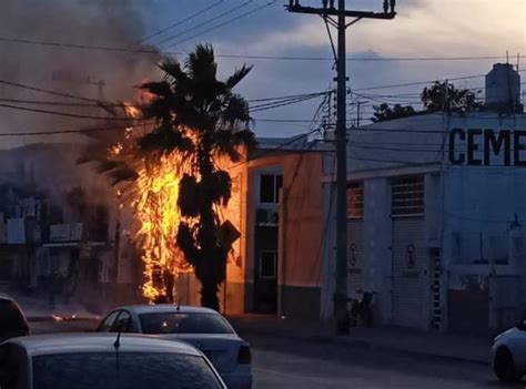 Chispazo en cables de alta tensión provoca incendio de palmeras en Mazatlán