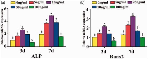 Progranulin Promotes Osteogenic Differentiation Of Periodontal Membrane