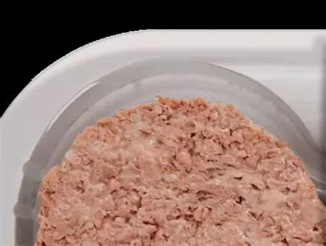Naked Evolution Burger Arrives At Waitrose Ocado Dunnes Food And Drink Digital