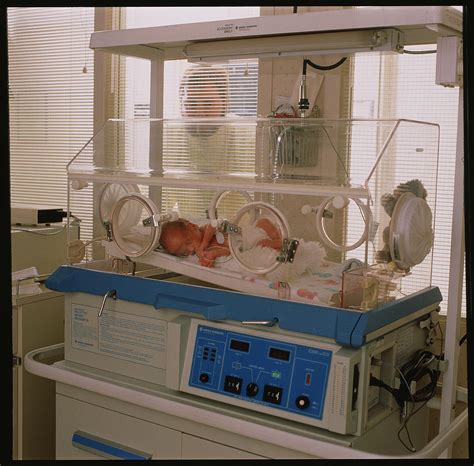 Baby In Incubator By Stevie Grand Science Photo Library