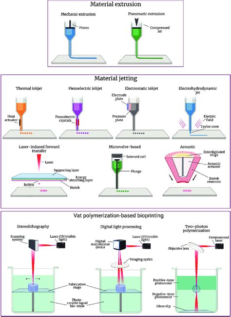 The Main Types Of 3D Bioprinting Despite The Fact That Different