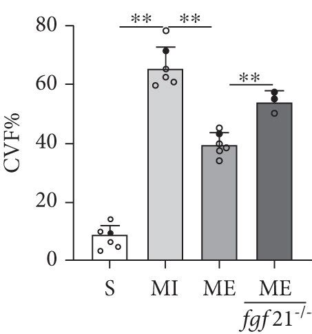 The Protective Of Aerobic Exercise On The Mi Heart In Wt And Fgf