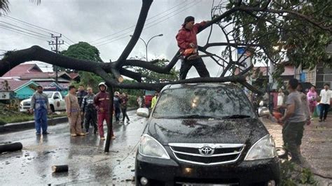 Pohon Tumbang Di Lubuk Kilangan Padang Timpa Mobil Dan Hambat Akses