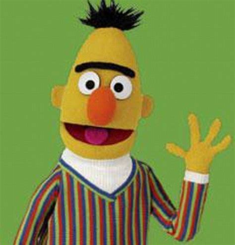 Bert (Sesame Street) ~ Everything You Need to Know with Photos | Videos