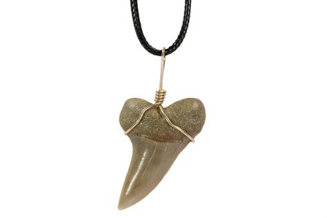 Fossil Mako Tooth Necklace Bakersfield California For Sale