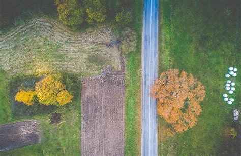 Fall Aerial Landscape of Tree and Road Stock Image - Image of outdoors, view: 140691645