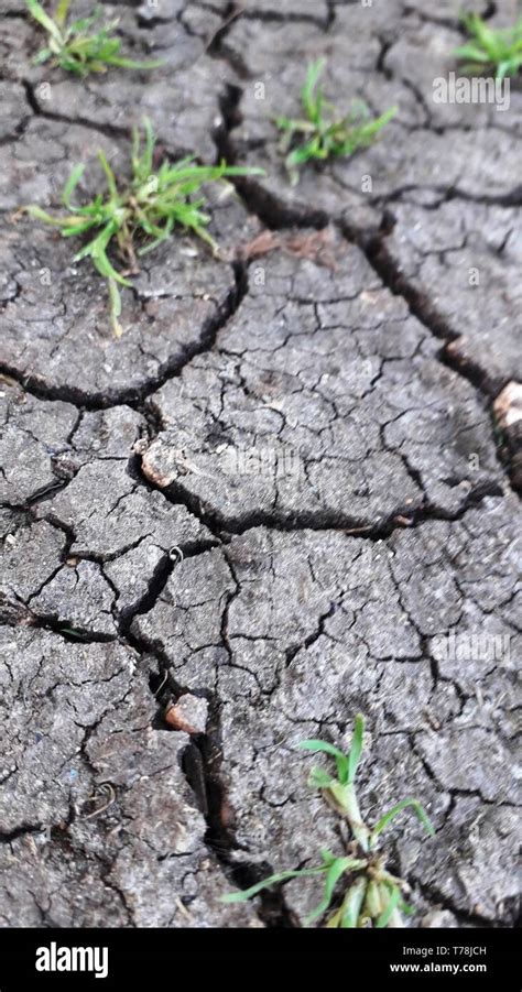 Dry cracked earth during drought Stock Photo - Alamy