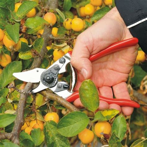 Felco Model 6 Compact Bypass Secateurs