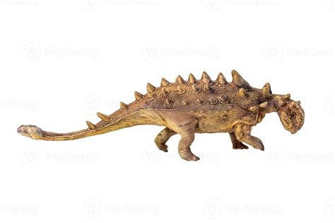 Ankylosaurus Dinosaur On Isolated Background Stock Photo At