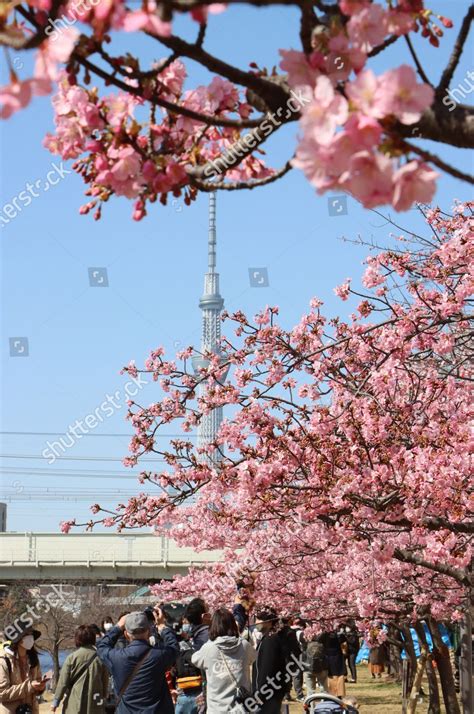 Japans Tallest Tower Tokyo Skytree Seen Editorial Stock Photo Stock