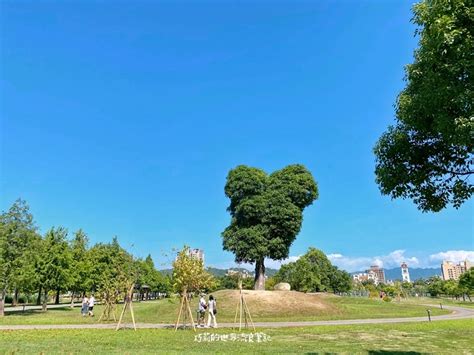 南興公園 萬坪公園 台中北屯超可愛米奇樹、落雨松大道，ig打卡假日野餐好去處 巧莉的世界流浪筆記