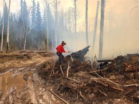 Wildfire Risk Reduction Project Safeguards Northern B C Community