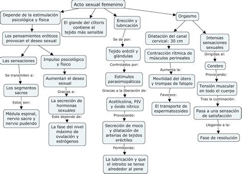 Fisiología Básica y Médica Mapa Conceptual de Acto Sexual Femenino