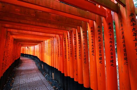 伏見稲荷大社の千本鳥居は迫力満点！ライトアップで幻想的な夜の参拝がおすすめ 神社お寺でご縁巡り