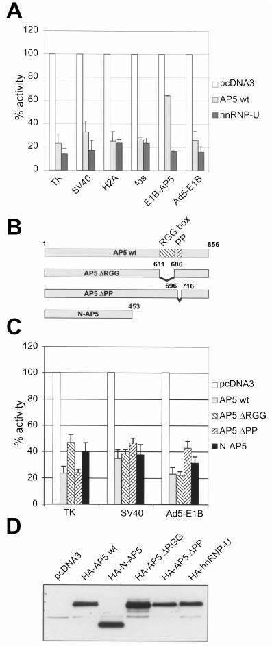 E B Ap Represses The Basal Transcriptional Activity Of Different