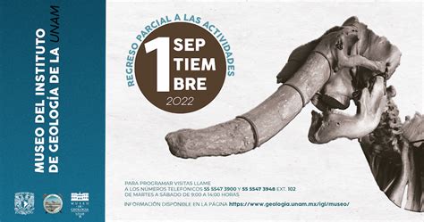 A PARTIR DEL 1 DE SEPTIEMBRE DEL PRESENTE AÑO EL MUSEO DE GEOLOGÍA