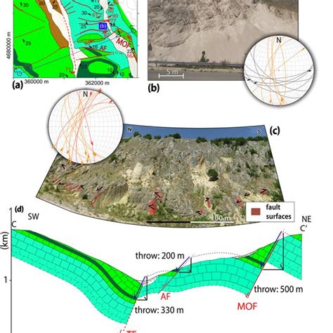 a) General tectonic setting of the Dead Sea Transform (DST), modified ...