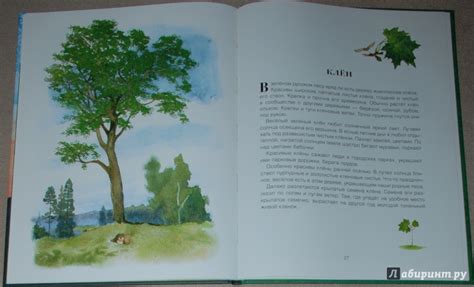 Книга: Русский лес - Иван Соколов-Микитов. Купить книгу, читать ...