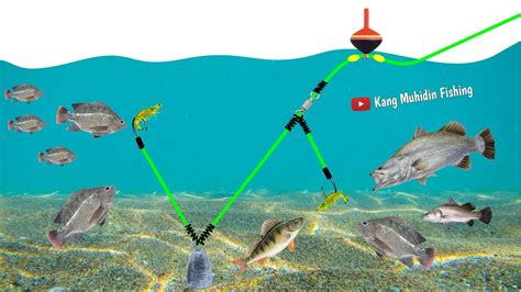 Tutorial Cara Membuat Rangkaian Pancing Nila Babon Umpan Udang Mata