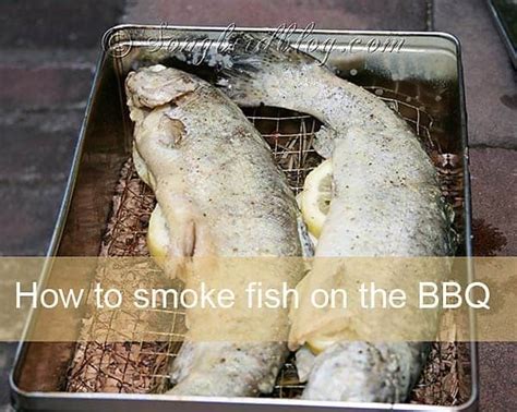 How To Smoke Fish Yourself On The Bbq