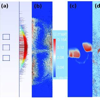 Numerical Simulation Results Lorentz Force For An AC EM Field In Left