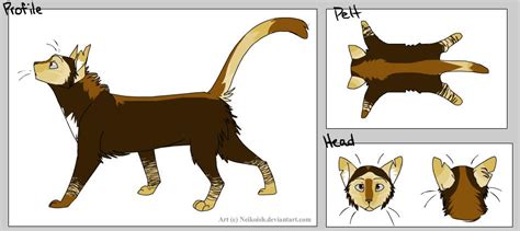 Warrior Cats: Windclan Leader by NoOneCaresAboutIt on DeviantArt