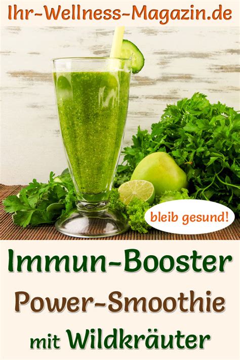 Gr Ner Wildkr Uter Smoothie Rezept F Rs Immunsystem Zum Abnehmen Und