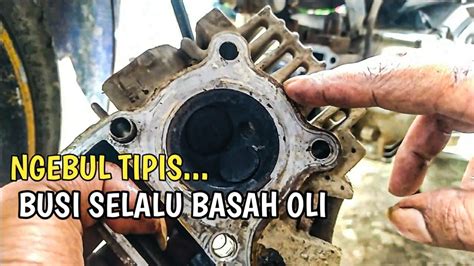 Penyebab Motor Ngebul Tipis Busi Selalu Basah Oli Youtube