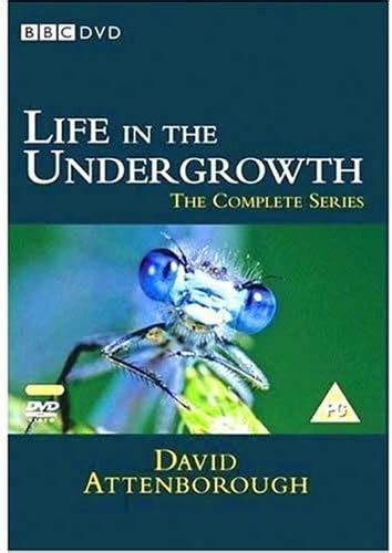 David Attenborough Life In The Undergrowth Dvd Uk David Attenborough David